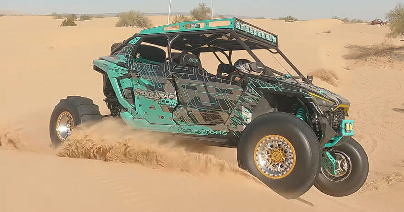 Proline Wraps Quick Look